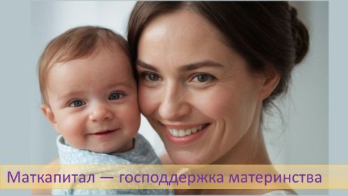 Более 19 тысяч татарстанских семей воспользовались маткапиталом для улучшения жилья
