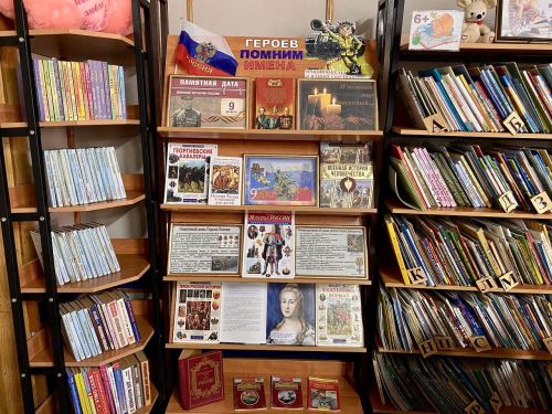 Книжную выставку в Лаишевской библиотеке посвятили Дню Героев Отечества