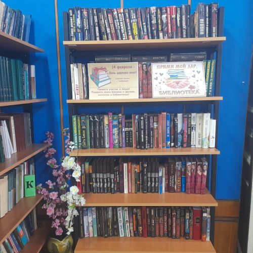 В Лаишевском районе завершилась акция «Дарите книги с любовью»