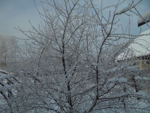 Новая неделя в Лаишевском районе начнется с мокрого снега