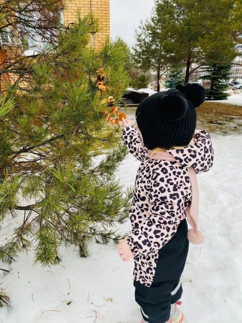 «Кошларга ярдәм итәчәкбез» акциясенә Лаеш районында яшәүчеләрнең күбесе кушыла