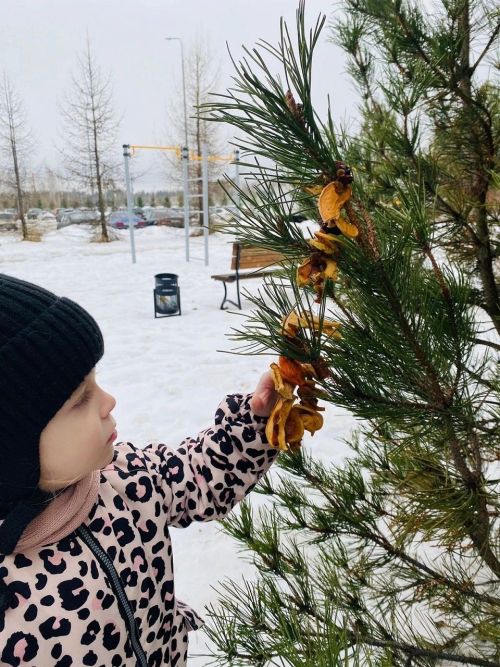 «Кошларга ярдәм итәчәкбез» акциясенә Лаеш районында яшәүчеләрнең күбесе кушыла