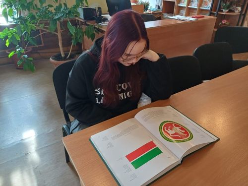 Лаишевским гимназистам рассказали об истории государственных символов Татарстана