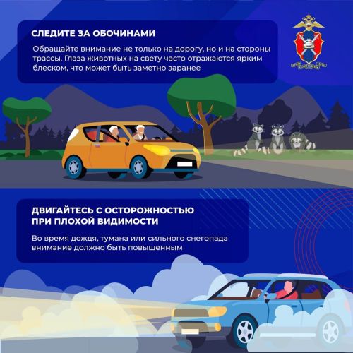 Шәһәр читендәге юлларда кыргый хайваннар белән бәрелешүне ничек булдырмаска