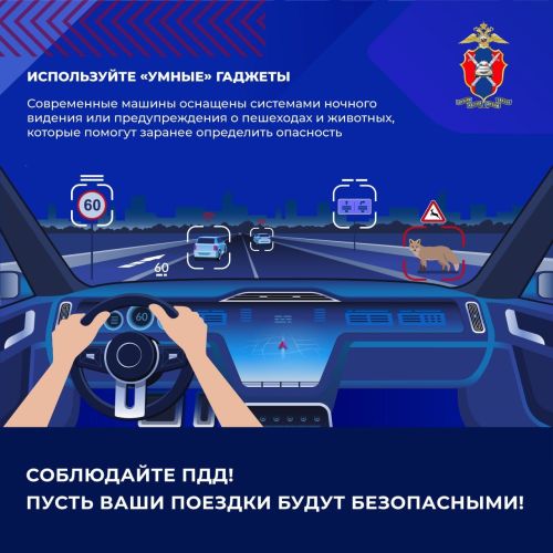 Шәһәр читендәге юлларда кыргый хайваннар белән бәрелешүне ничек булдырмаска