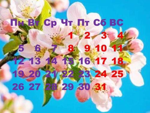 В мае жители Татарстана смогут насладиться продолжительными выходными
