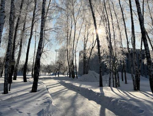 В Лаишевском районе потеплеет до шести градусов