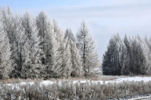 Погода в Лаишево на завтра, 17 марта