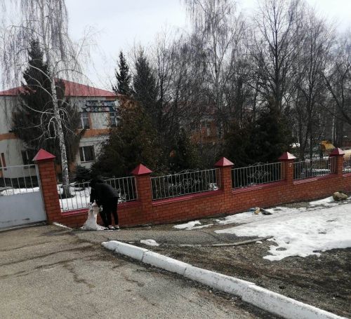 У детского сада «Счастливый малыш» будет порядок