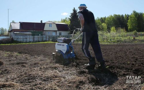 Владельцы заброшенных земель в Татарстане обязаны привести свои участки в порядок в течение трех лет