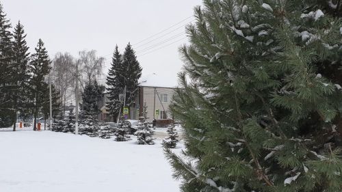 Плюс 3 и снежная каша: какая погода ждет лаишевцев сегодня