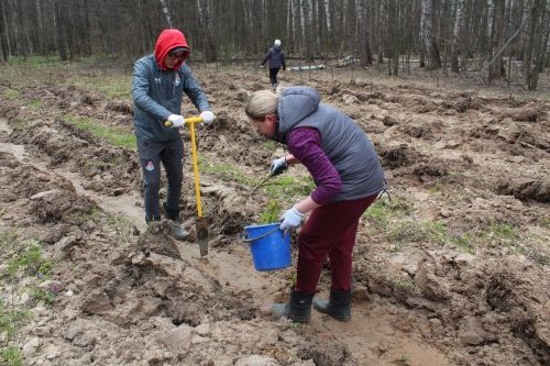 В Лаишевском районе на следующей неделе состоится международная акция «Сад памяти»