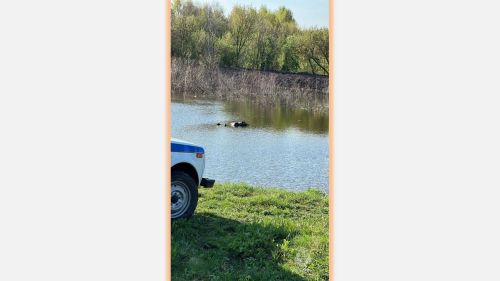 Тело мужчины извлечено из пруда в Больших Кабанах