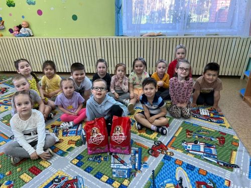 Дети Лаишевского района и их родители собрали корм для собак из приюта