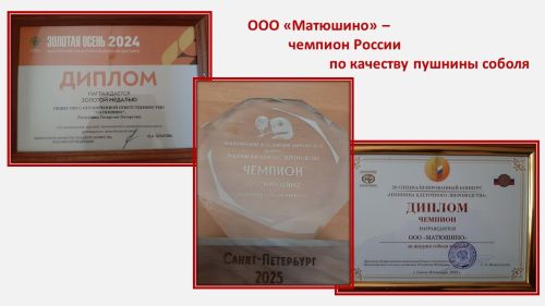 ООО «Матюшино» — чемпион России по качеству пушнины соболя