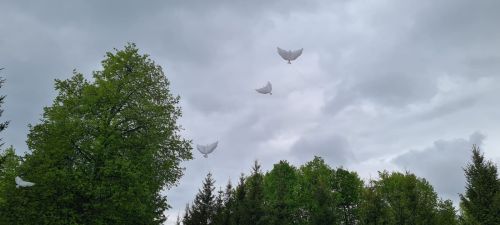 Лаишевцы возложили цветы к Вечному огню в парке Победы