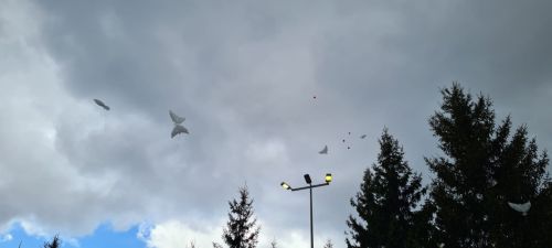 Лаишевцы возложили цветы к Вечному огню в парке Победы