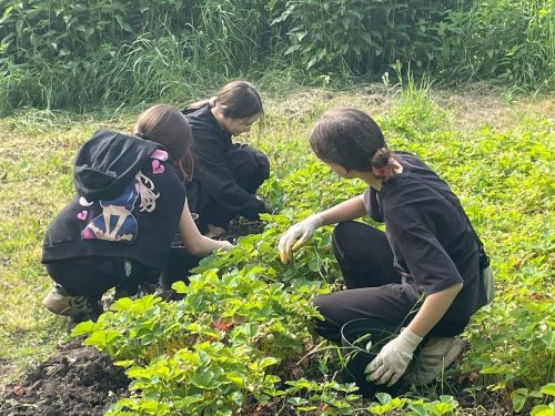 Учащиеся Лаишевского района в каникулы узнают о правильном питании