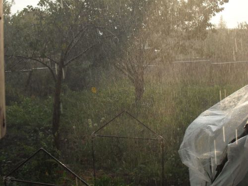 Дождь, гроза, ветер и град ожидаются в Лаишевском районе и завтра
