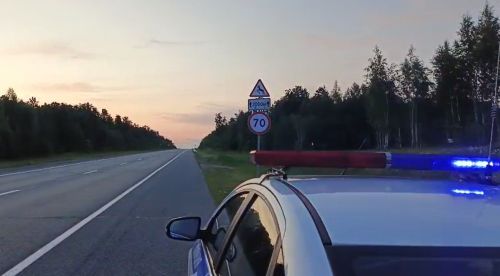 Дикий гость на дороге: косуля попала под колёса на Сорочьи Горы — Шали