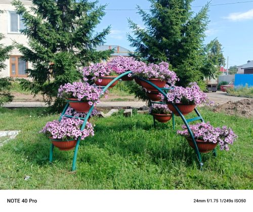 О родном городе пишет Ольга Никифорова