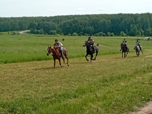 Сегодня в Лаишеве развернулся яркий и самобытный Сабантуй