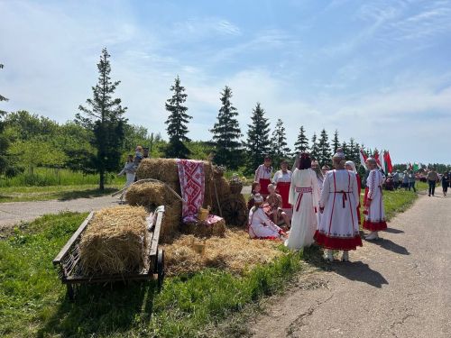 В Лаишево проходит Сабантуй: делимся яркими моментами начала праздника плуга