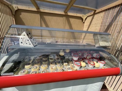 В Лаишеве отпраздновали «Сабантуй»