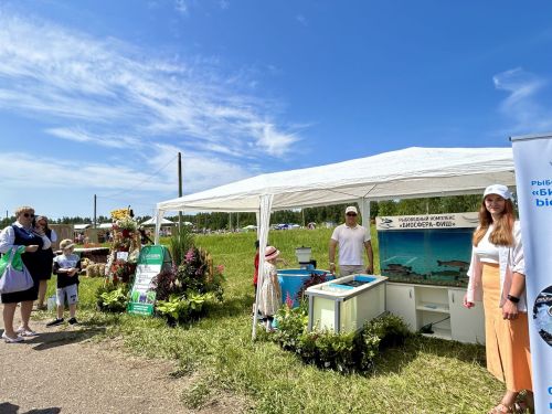 В Лаишеве отпраздновали «Сабантуй»