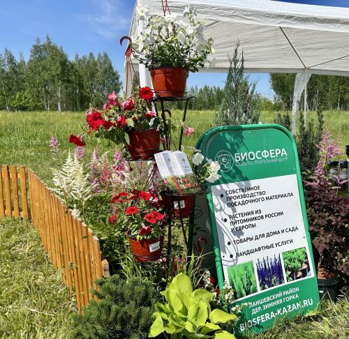 В Лаишеве отпраздновали «Сабантуй»