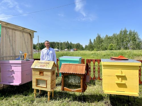 В Лаишеве отпраздновали «Сабантуй»