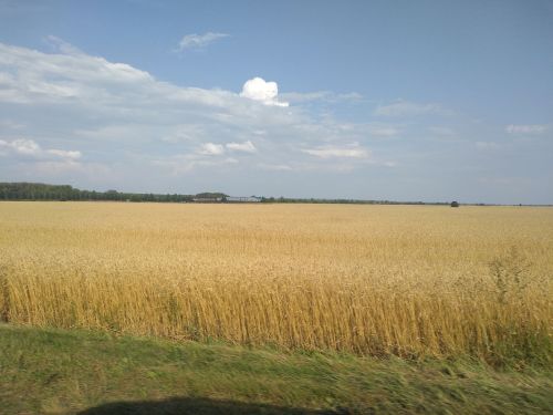 Прогноз погоды