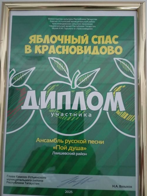 Артисты Лаишевского района выступили на празднике «Яблочный спас в Красновидово»