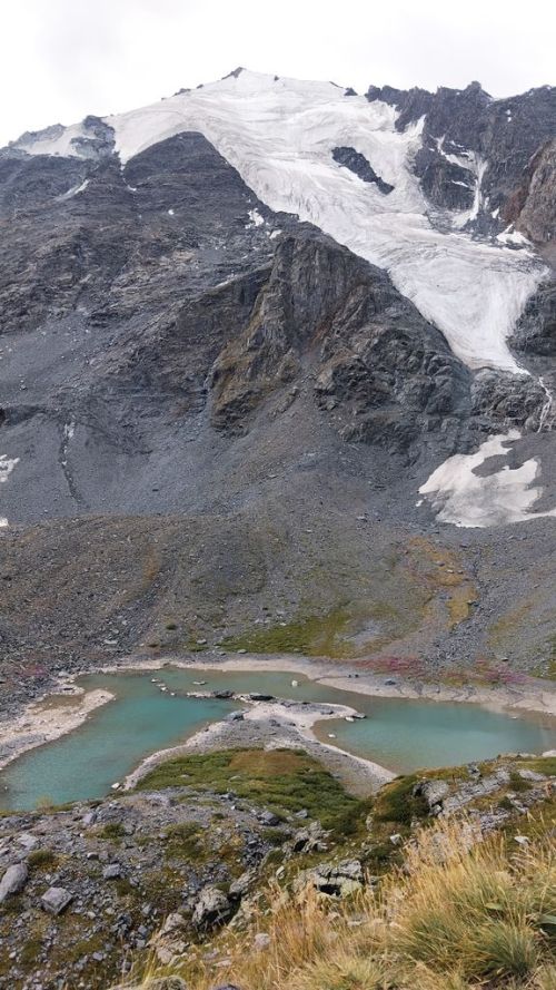 Путешествуем по России: «Белуха встретила нас тишиной и цветами эдельвейсов»