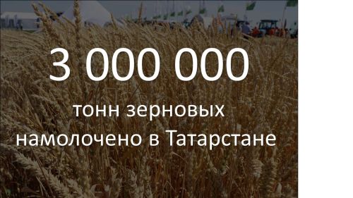 Аграрии Татарстана собрали рекордный урожай зерна