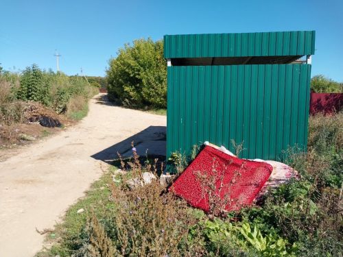 Проблема загрязнения городской среды: безответственность или равнодушие?