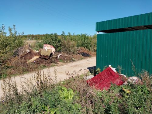 Проблема загрязнения городской среды: безответственность или равнодушие?