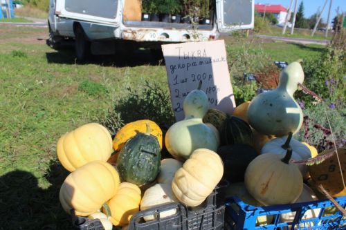 В Лаишевском районе проходит осенняя ярмарка