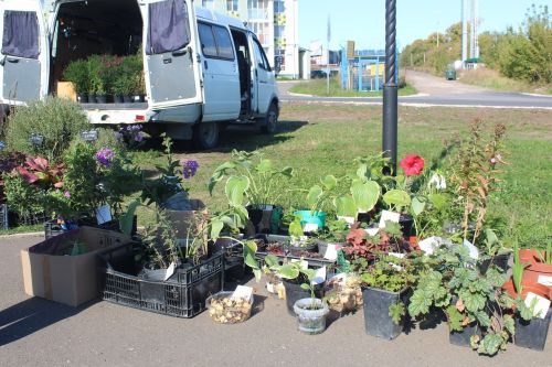 В Лаишевском районе проходит осенняя ярмарка