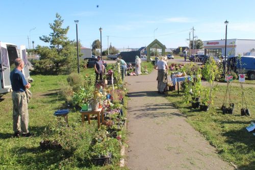 В Лаишевском районе проходит осенняя ярмарка
