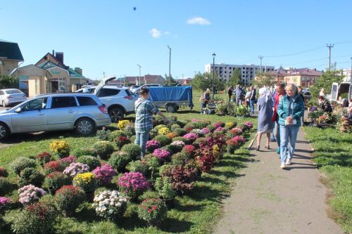 В Лаишевском районе проходит осенняя ярмарка