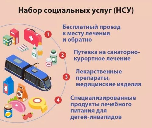 Выбор формы получения набора социальных услуг: что нужно знать