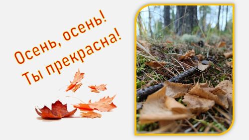 Очей очарованье — бабье лето