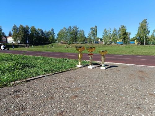 Кубок ДОСААФ по футболу собрал в Лаишеве юные таланты