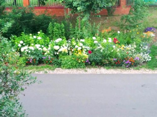 Лаеш: Миләүшә Гыйрфанова яратып иҗат иткән 25 метр матурлык