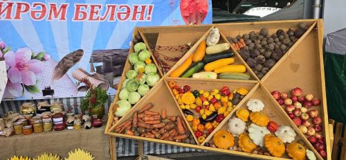 Лаеш районы мәгариф учреждениеләре «Осталар шәһәре» ярминкә-күргәзмәсендә катнаштылар