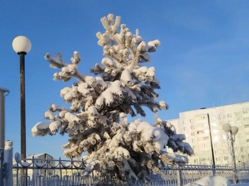 Зимний город в объективе фотоаппарата
