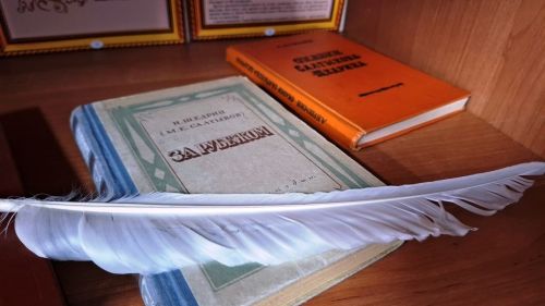 «Сатиры смелый властелин»: книжная выставка к 200-летию М. Е. Салтыкова-Щедрина