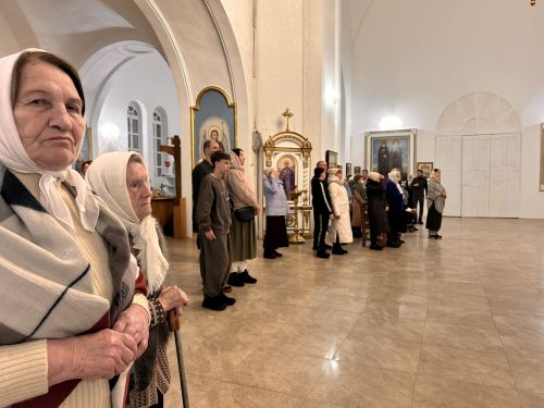 Лаишевские храмы встретили Рождество Христово торжественными богослужениями