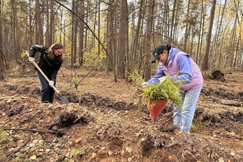 Волонтерлар Лаеш районында 15 мең яшь агач утыртты
